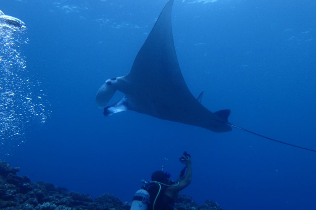 石垣島旅行のベストシーズンを知る!プロ直伝シリーズ月別お勧めステイ