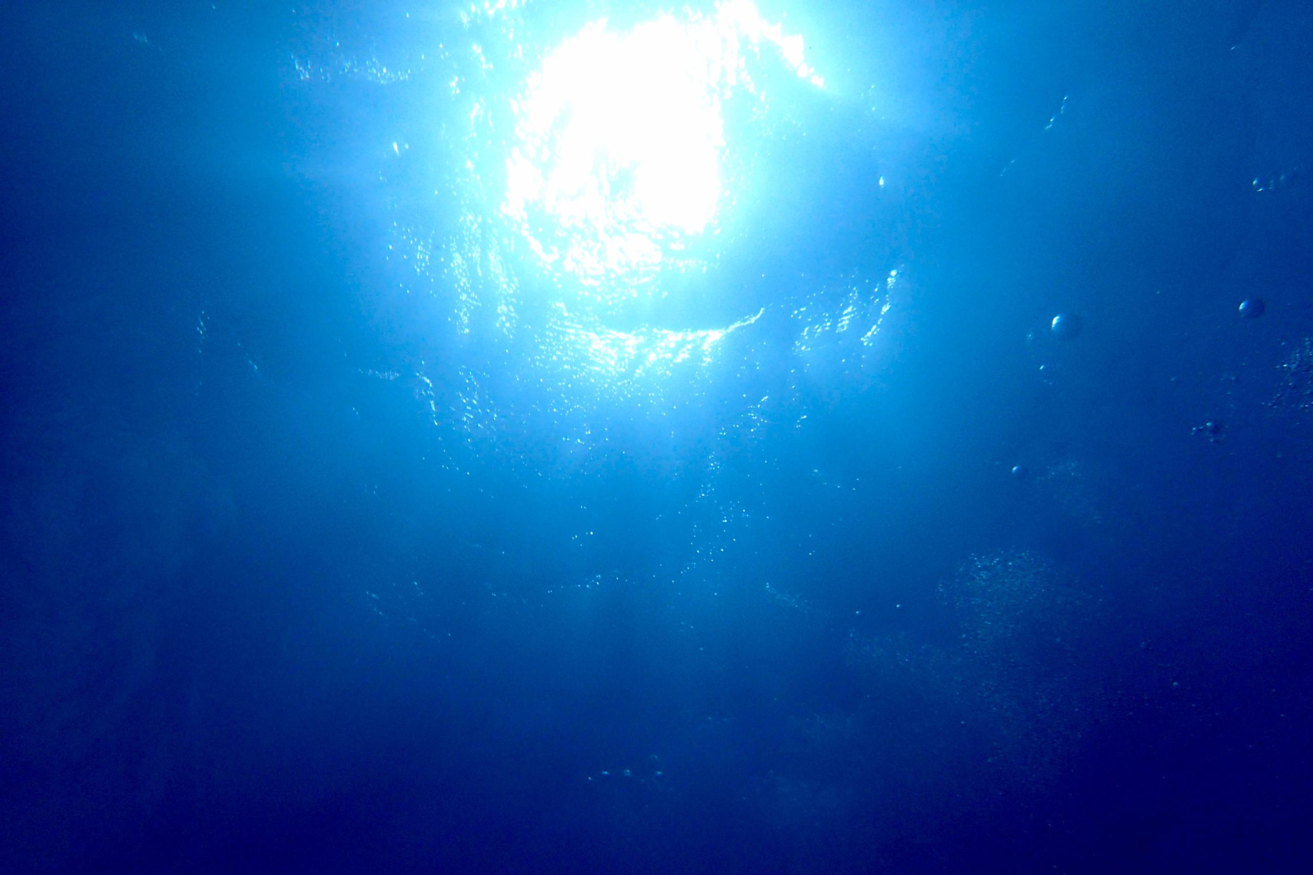 石垣島ダイビング青の世界