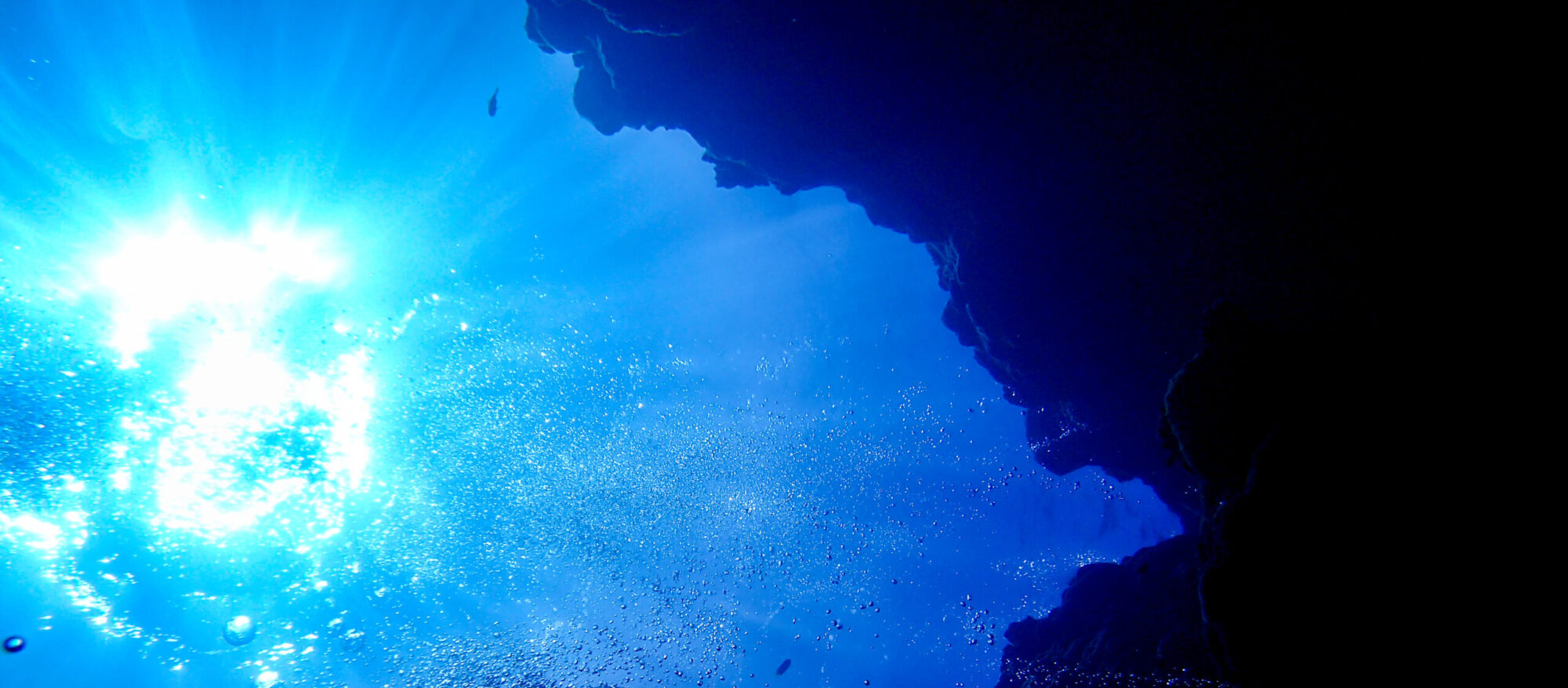 ダイビング水中からの風景