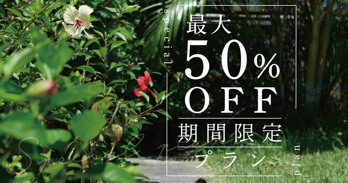 最大50％OFFの期間限定プランはじまりました