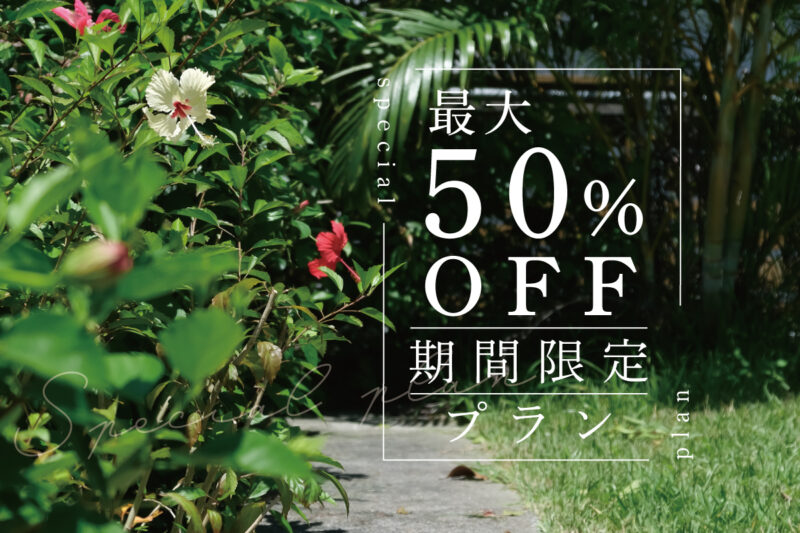 最大50％OFFの期間限定プランはじまりました