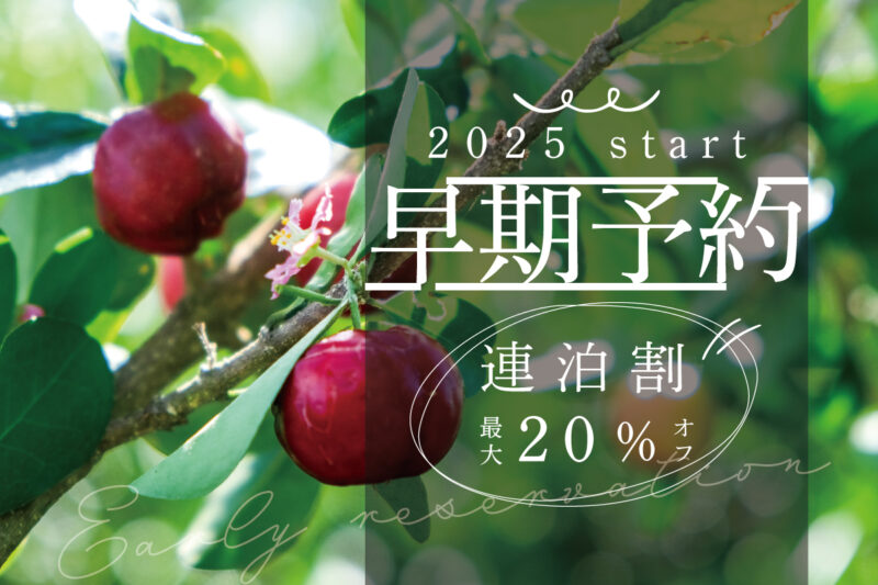 2025年早期予約開始