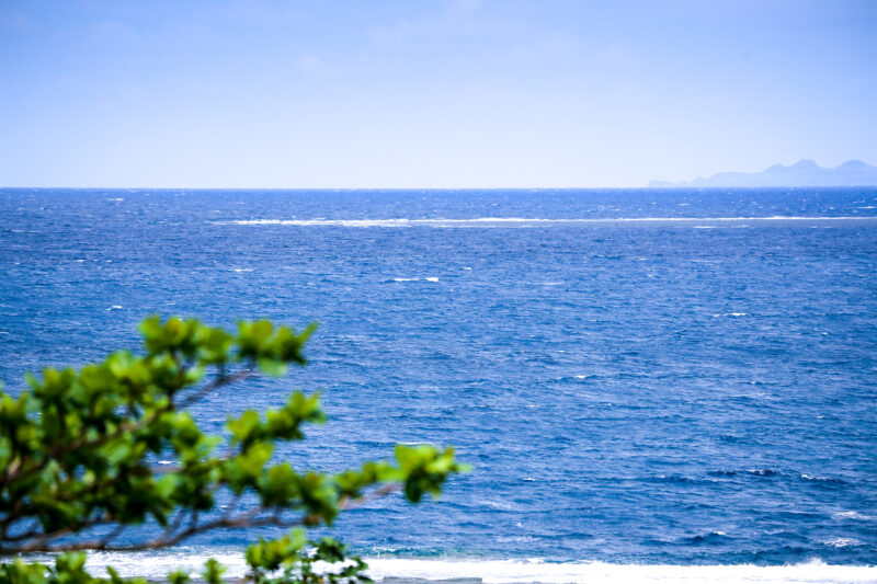 うさぎが跳ねている海