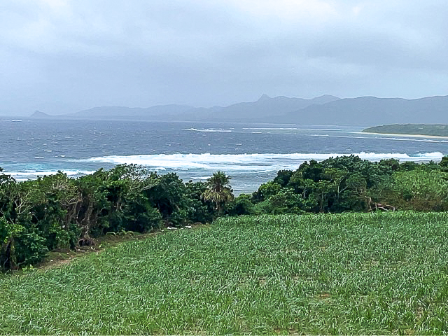 荒れる海