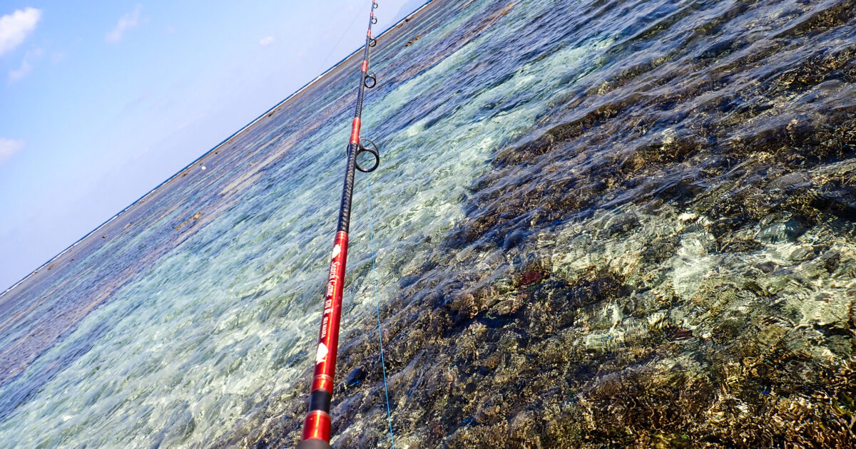 秋の海で釣り