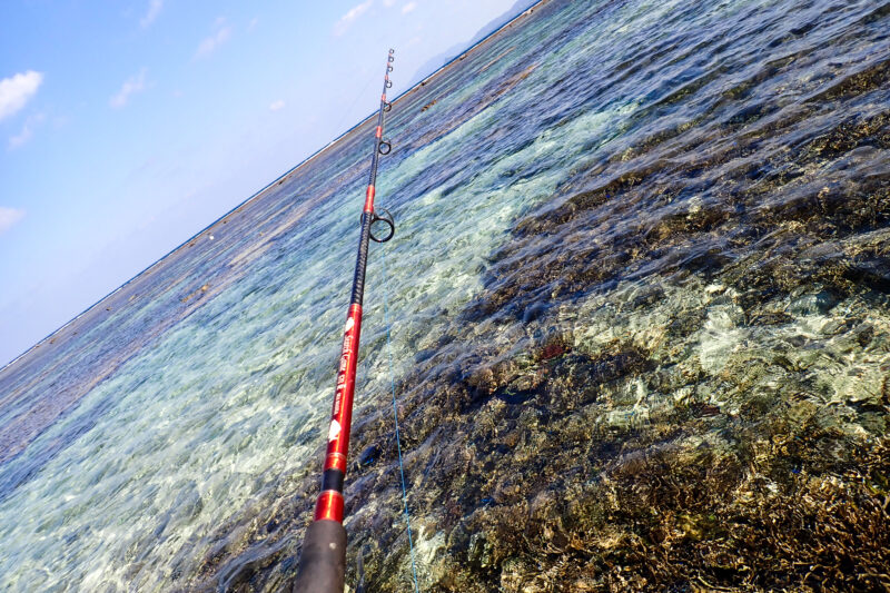 秋の海で釣り