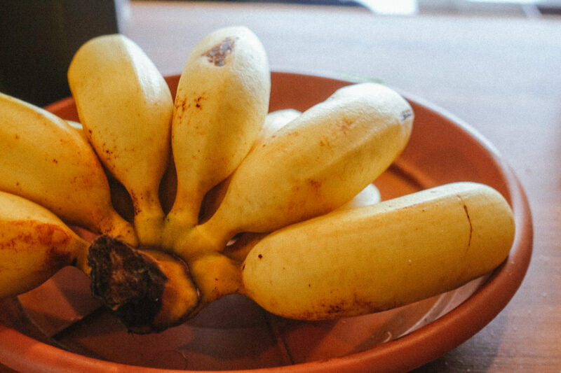 もうすぐ食べ頃の島バナナ