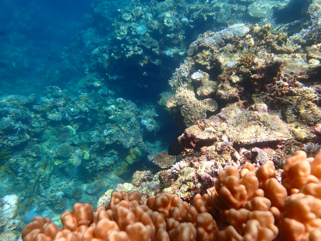 クリスタルビーチ前の海