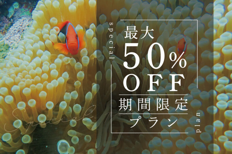 2026年1月~3月最速予約スタート