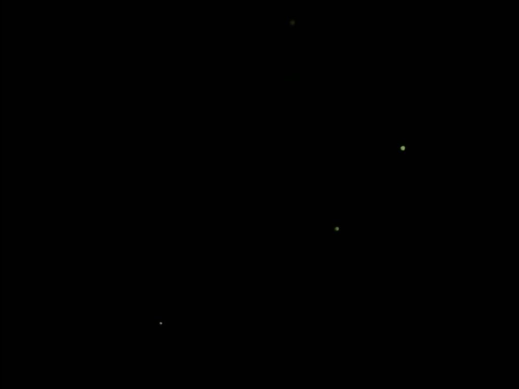 石垣島の11月の夜、地面で光を放つオオシママドボタルの幼虫