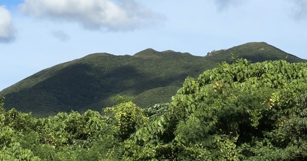 7月の石垣島。於茂登山を滑る雲の影。