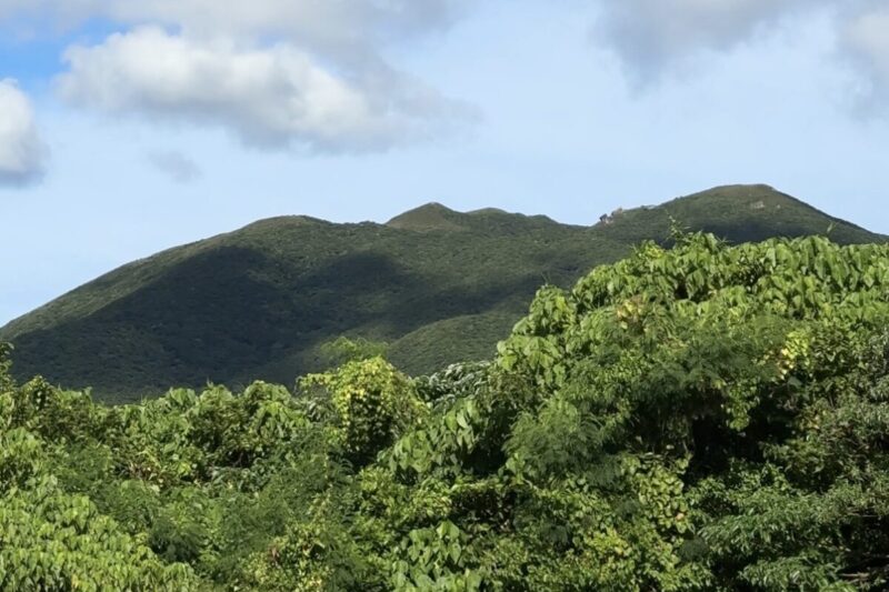 7月の石垣島。於茂登山を滑る雲の影。