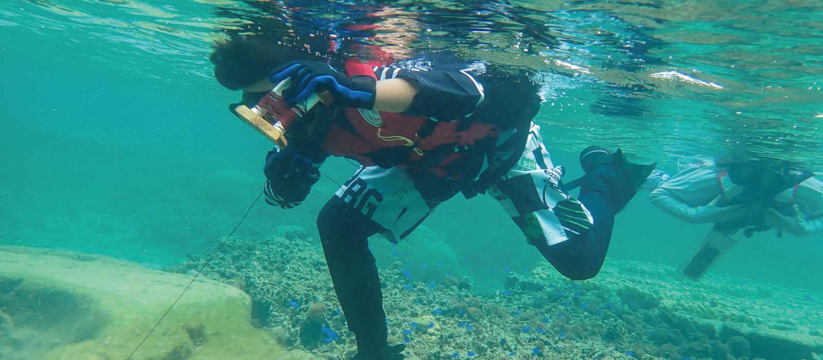 シュノーケリング上級者向けのアクティビティ『シュノーケリングフィッシング』