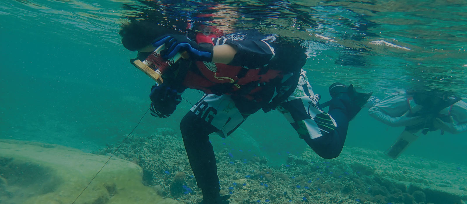 シュノーケリング上級者向けのアクティビティ『シュノーケリングフィッシング』