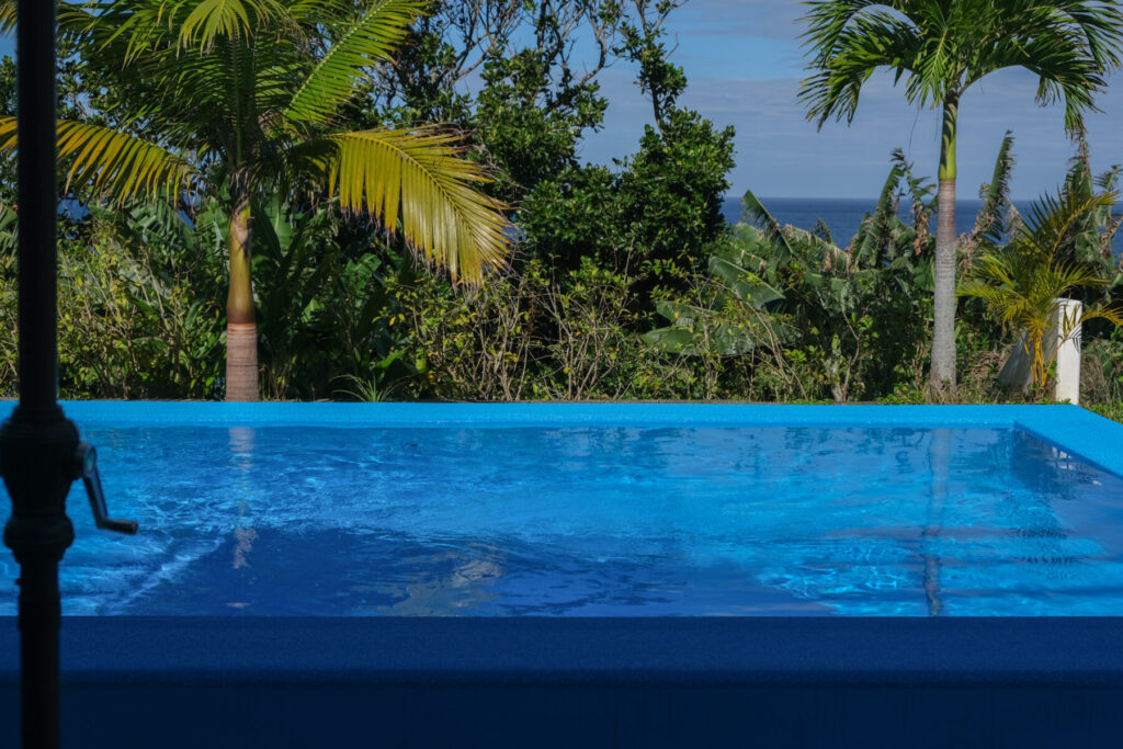 プールサイドから西表国立公園のジャングル越しに見える東シナ海に面した海